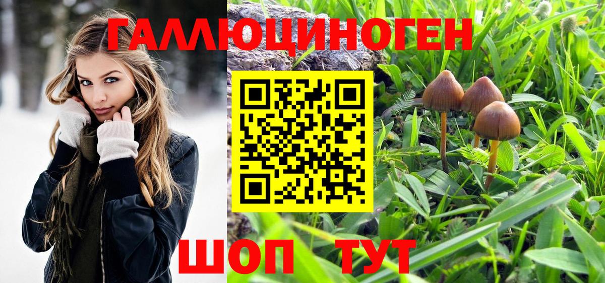 Псилоцибиновые грибы Cubensis  Вход с VPN  Фролово 