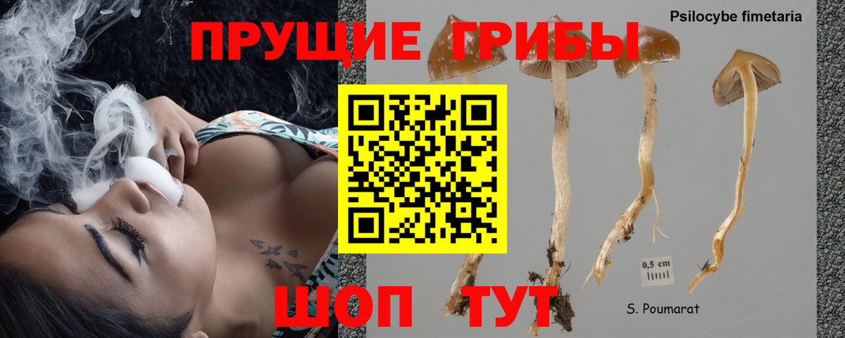 Фролово  Конопля  Вход с VPN  Гашиш  Меф кристаллы 